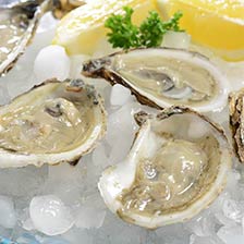 Blue Point Oysters