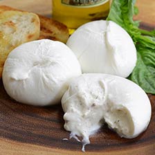 Fresh Truffle Burrata