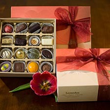 Leonidas Valentine's Day Gift Box