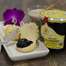 French Blueberry Fruit Spread - Organic