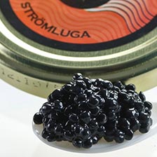 Stromluga Herring Caviar