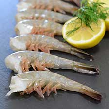 Mexican Jumbo Blue Shrimp - Raw, Shell On