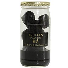 French Black Winter Truffles - Extra
