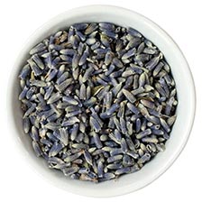 Lavender - Dry, Super Blue