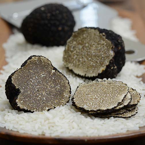 Fresh Italian Black Summer Truffles