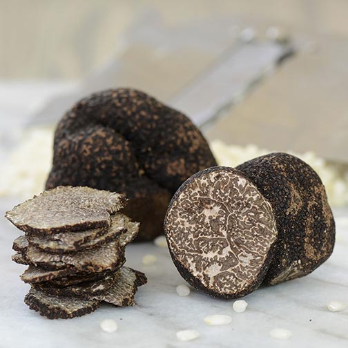Fresh Black Winter Truffles from Italy, First Choice