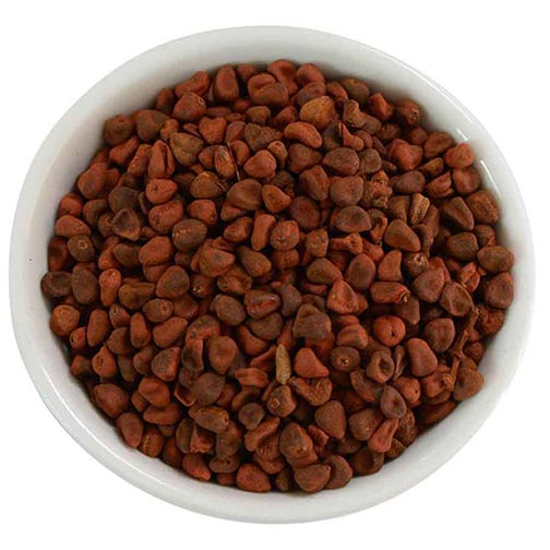 Annatto Seeds