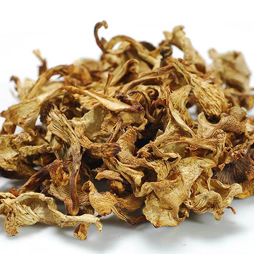 Chanterelle Mushrooms - Dried