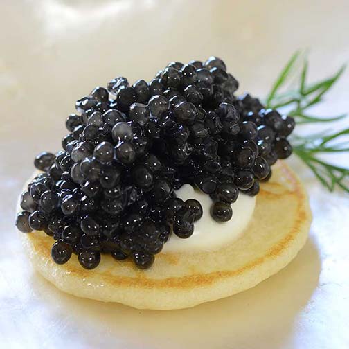 Emperior American Osetra White Sturgeon Caviar