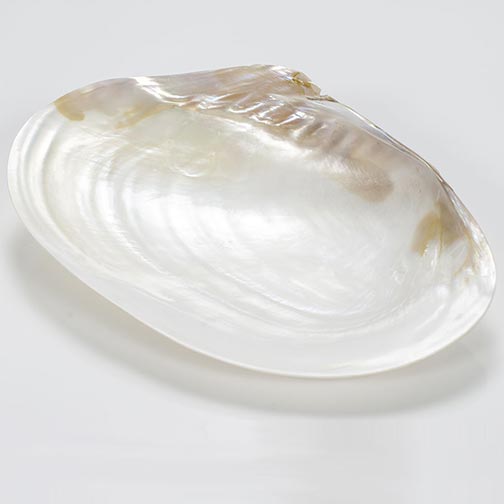 Hand Carved Mother-of-Pearl Caviar Serving Plate - Large