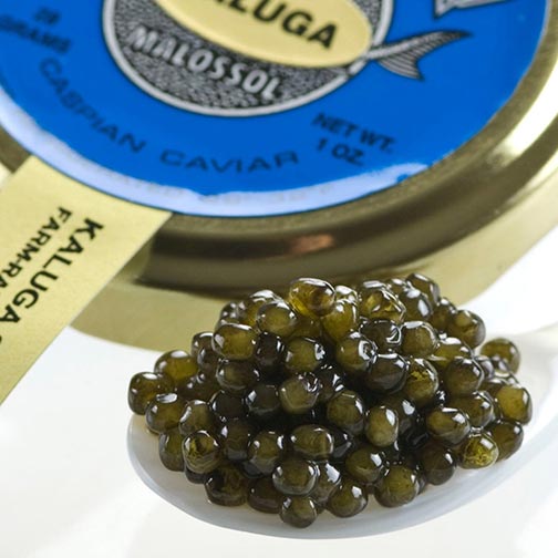 Kaluga Fusion Sturgeon Caviar, Amber - Malossol, Farm Raised