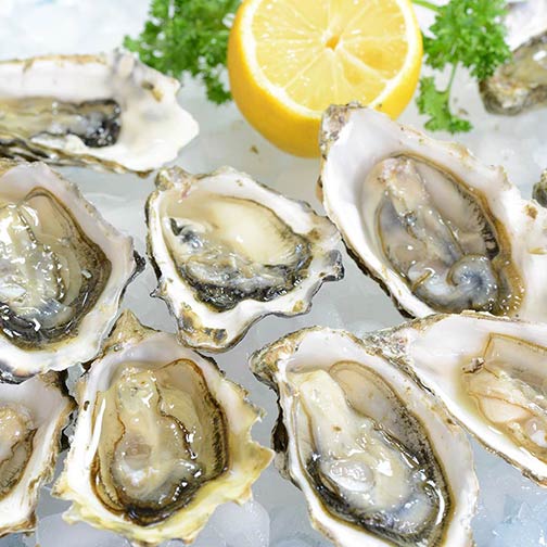 Emerald Cove Oysters