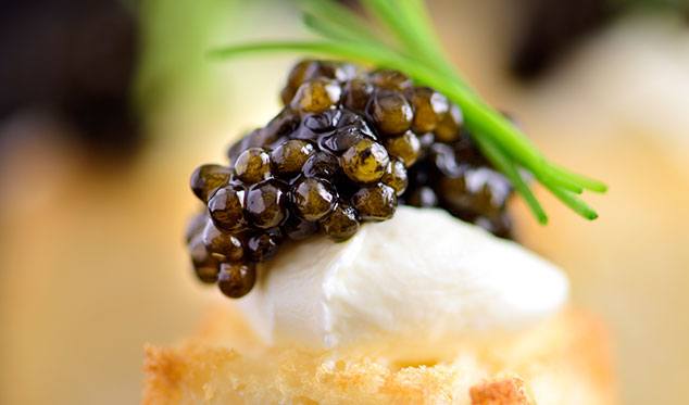 Salmon caviar Buy for 77 roubles wholesale, cheap - B2BTRADE