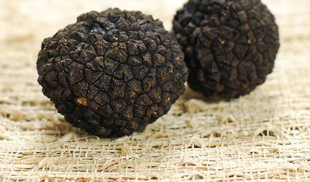 fresh truffles