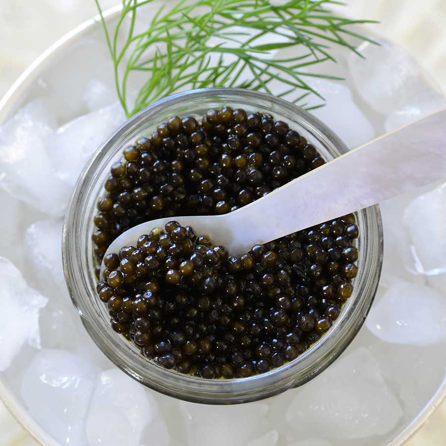 Emperior Beluga Hybrid Caviar Photo [3]