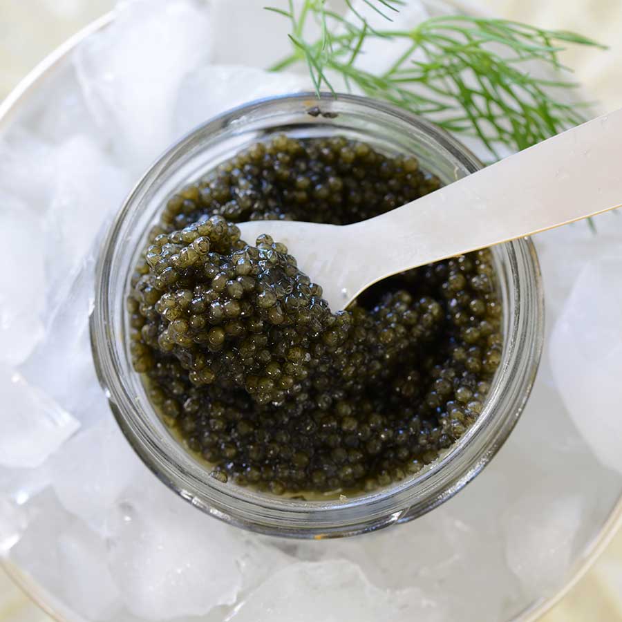 Emperior American Paddlefish Caviar Photo [3]