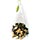 Tea Forte Jasmine Green Green Tea Infusers Photo [1]