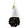 Tea Forte Orchid Vanilla Black Tea Infusers Photo [1]