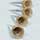 Mini Savory Coated Cones - 2.87 Inch x 1.1 Inch Photo [1]